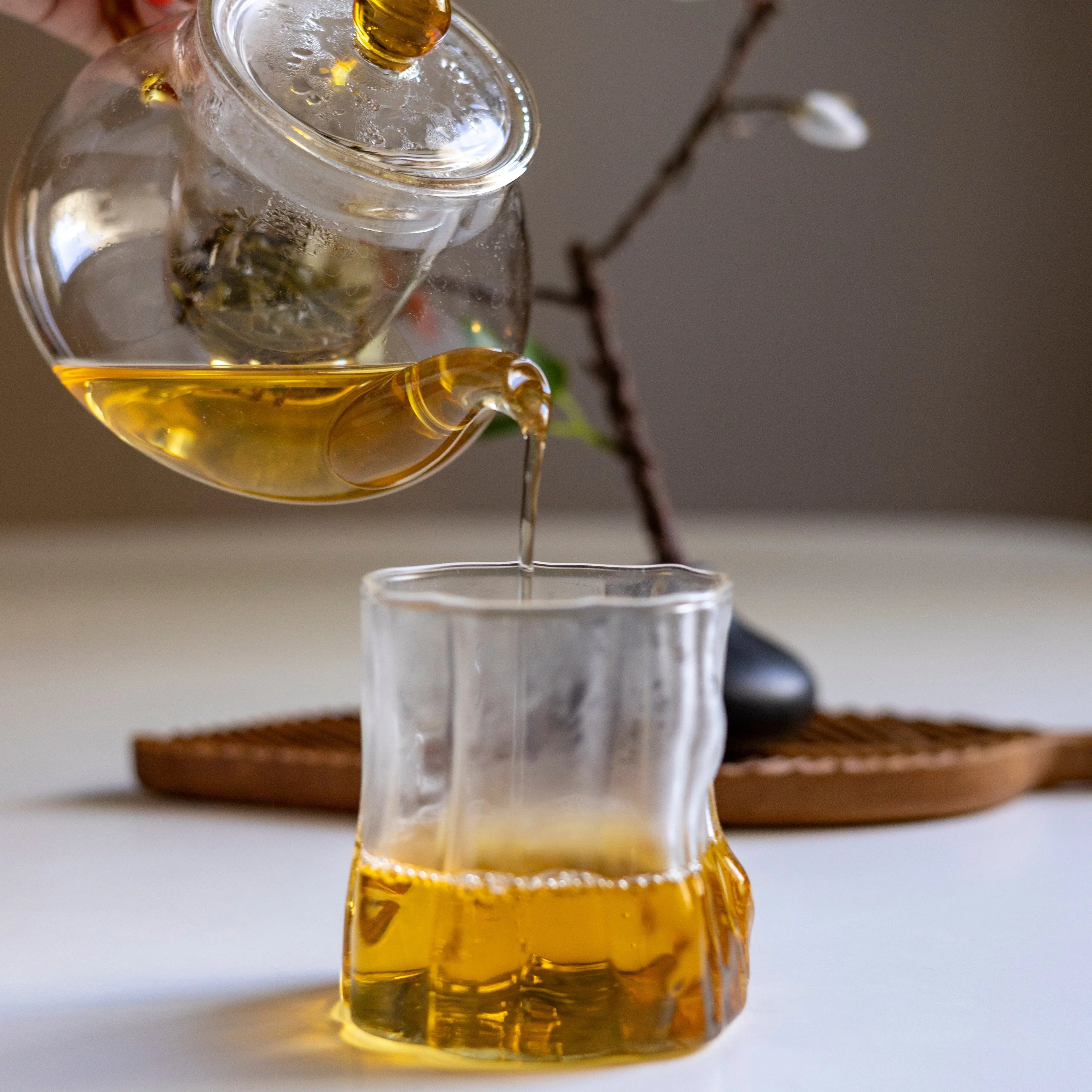 Thé Jasmin en Aiguilles Mont Thé